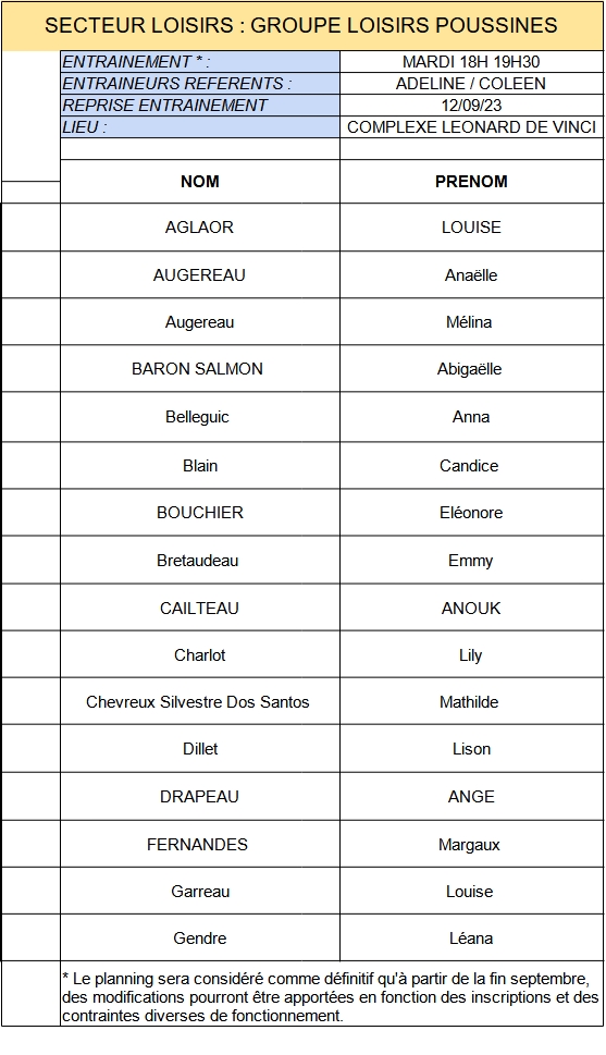 LOISIRS POUSSINES GROUPES DENTRAINEMENT